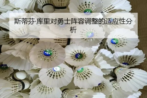 斯蒂芬·库里对勇士阵容调整的适应性分析